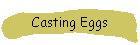 Casting Eggs
