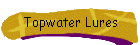 Topwater Lures