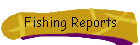 Fishing Reports