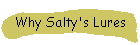 Why Salty's Plugs?