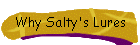 Why Salty's Plugs?
