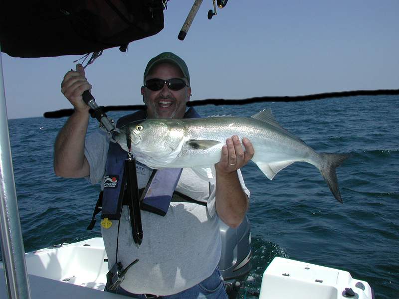 Rico and StubbyDick custom striper lures